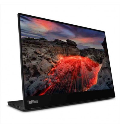 ThinkVision M14t Gen 2