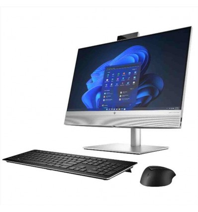EliteOne 840 G9 AiO 24 Touchscreen (special edition gar. 3 anni onsite)