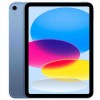 iPad Wi-Fi + Cellular 256GB - Blu