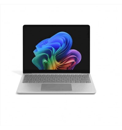 LAPTOP13IN C8/24/1TB PLAT