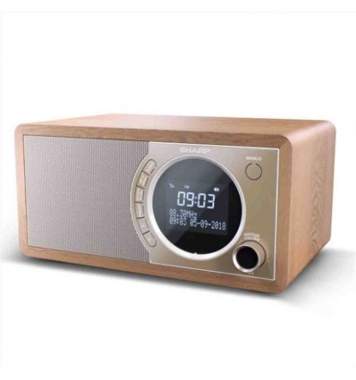 Radio digitale DR-450