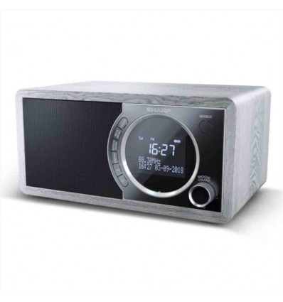 Radio digitale DR-450