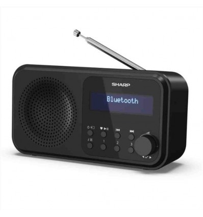 Radio Portatile Digitale Tokio