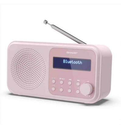 Radio Portatile Digitale Tokio