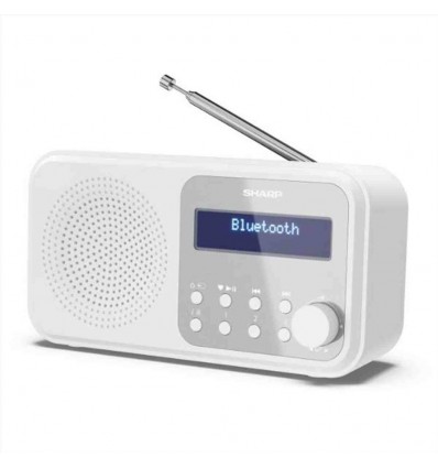 Radio Portatile Digitale Tokio