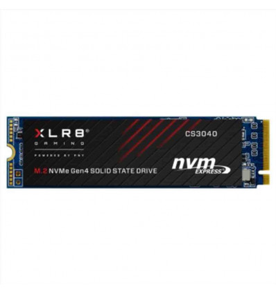 CS3040 M.2 NVMe SSD 2T