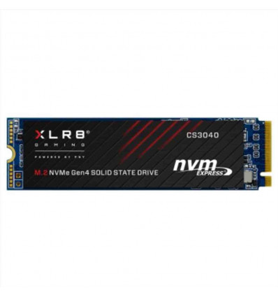 CS3040 M.2 NVMe SSD 2T