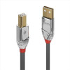 Cavo USB 2.0 Tipo A a B Cromo Line, 2m
