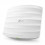 Access Point Indoor AC1750