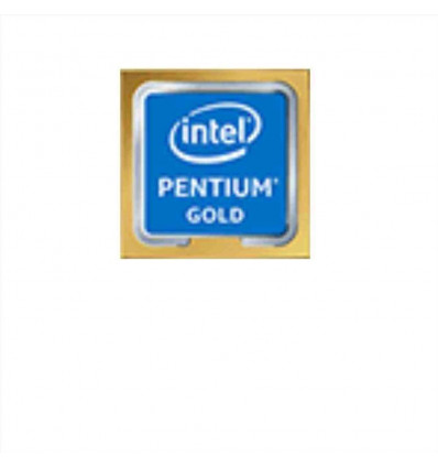 INTEL CPU PENTIUM G6600 BOX