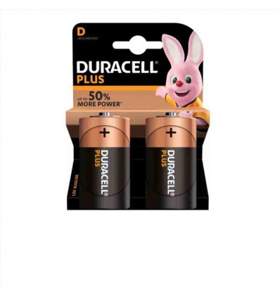 CF2 PLUS100 TORCIA D 1300