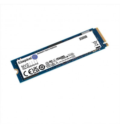 250G NV2 M.2 2280 PCIe 4.0 NVMe SSD